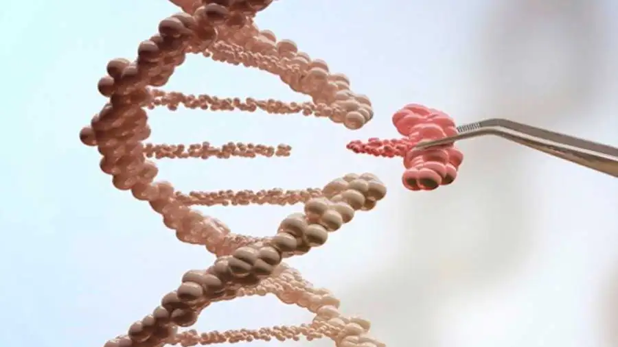 La manipulación Genética en el Sistema Penal Colombiano